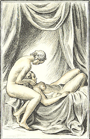venus 004