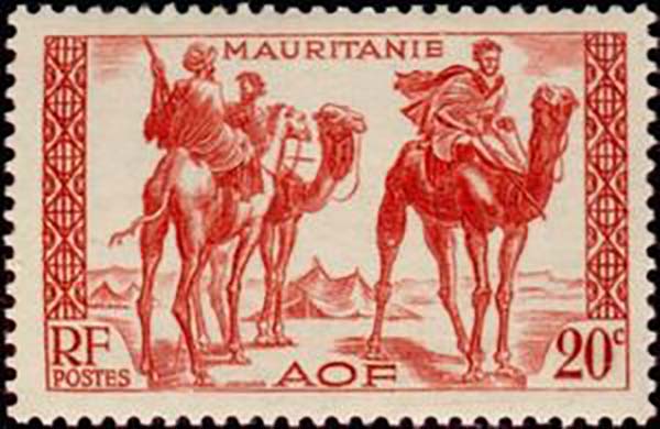 1938 Mauritanie PO79 Warriors on Dromedary Camelus dromedarius